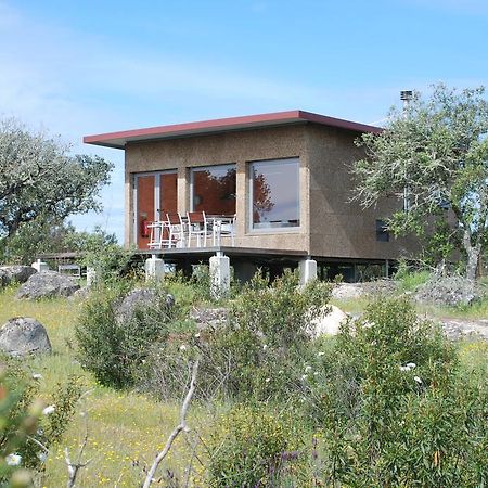 Bubulcus And Bolotas - Off Grid Nature Holiday Home Vimieiro  外观 照片