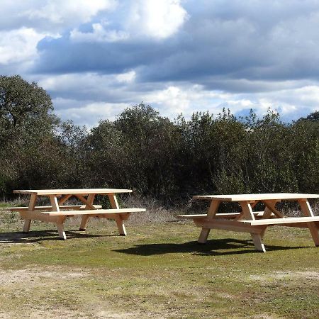 Bubulcus And Bolotas - Off Grid Nature Holiday Home Vimieiro  外观 照片