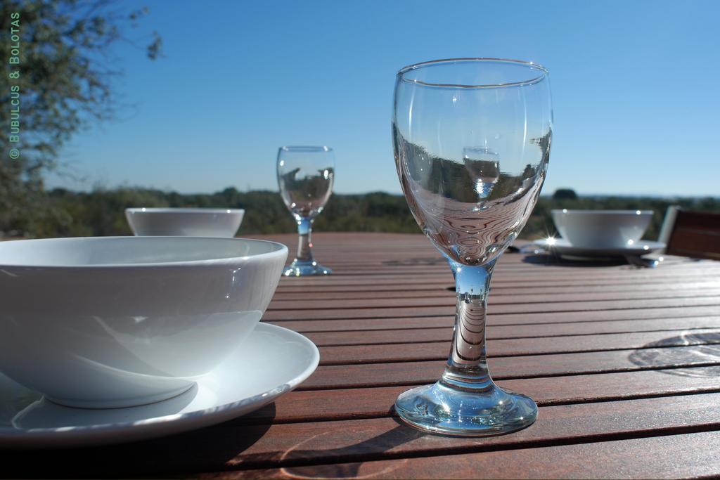 Bubulcus And Bolotas - Off Grid Nature Holiday Home Vimieiro  客房 照片