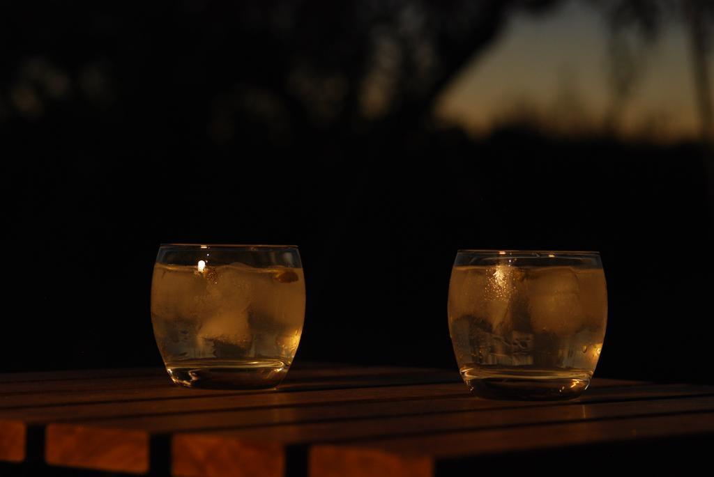 Bubulcus And Bolotas - Off Grid Nature Holiday Home Vimieiro  外观 照片