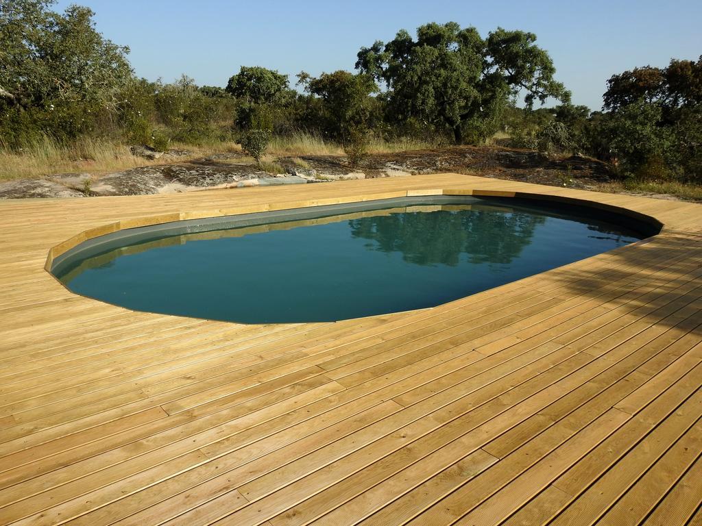 Bubulcus And Bolotas - Off Grid Nature Holiday Home Vimieiro  外观 照片
