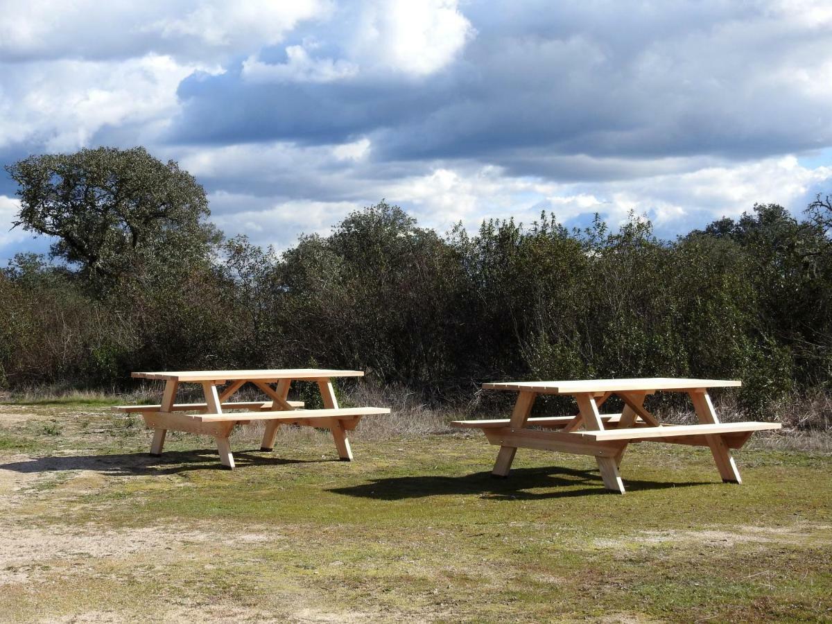 Bubulcus And Bolotas - Off Grid Nature Holiday Home Vimieiro  外观 照片