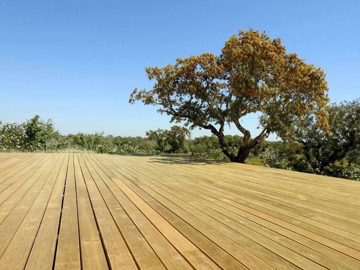 Bubulcus And Bolotas - Off Grid Nature Holiday Home Vimieiro  外观 照片